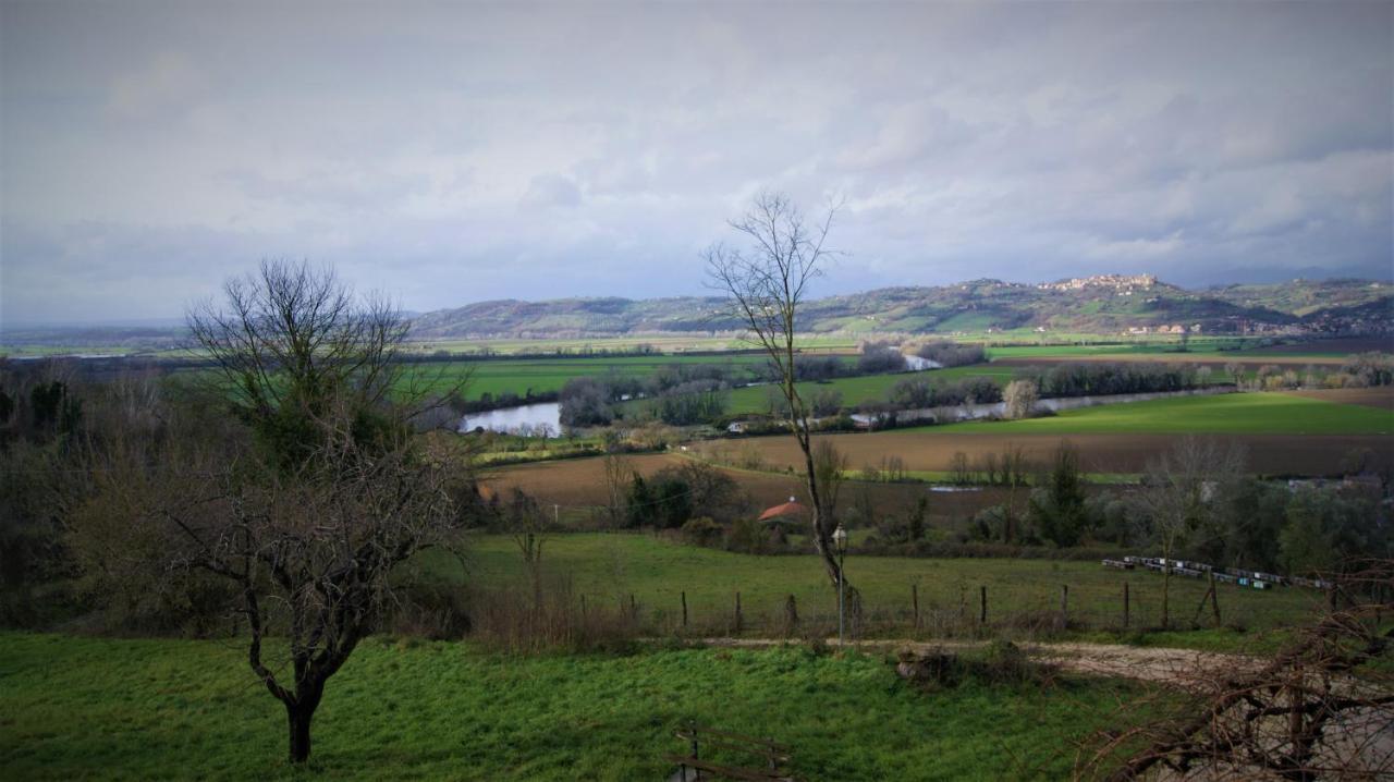 Agriturismo Monterone Ponzano Romano Ngoại thất bức ảnh
