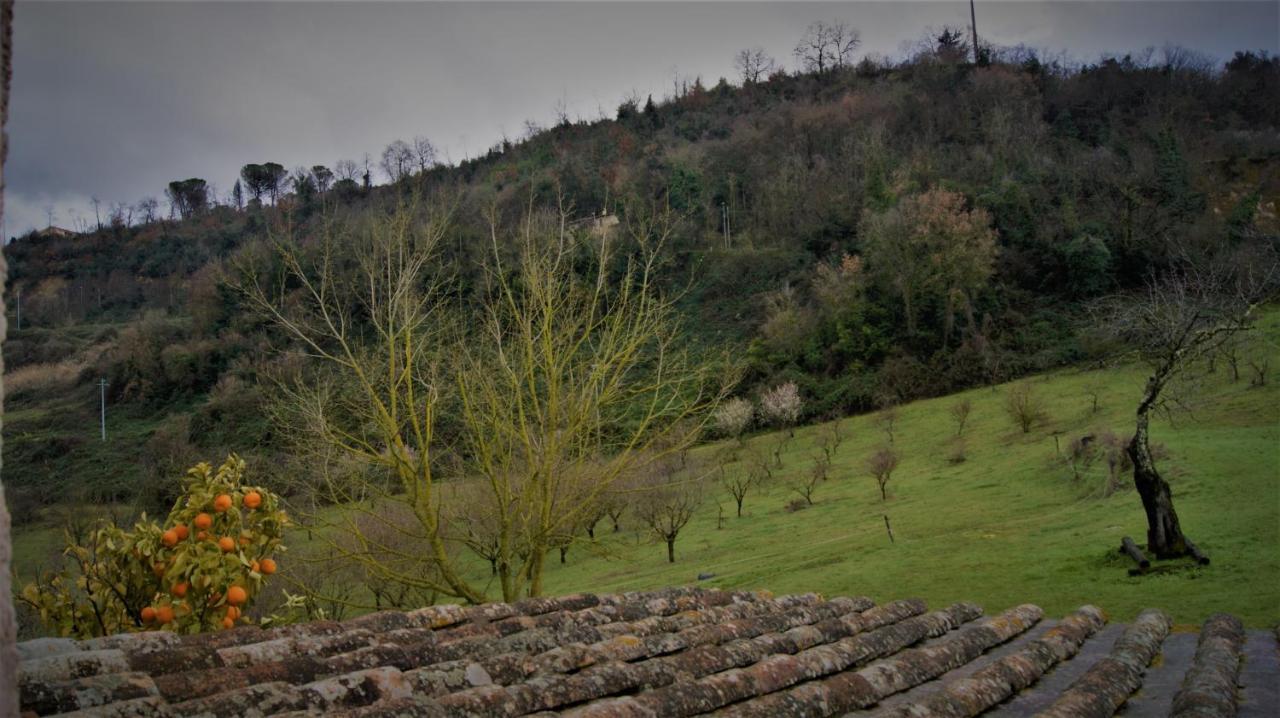Agriturismo Monterone Ponzano Romano Ngoại thất bức ảnh