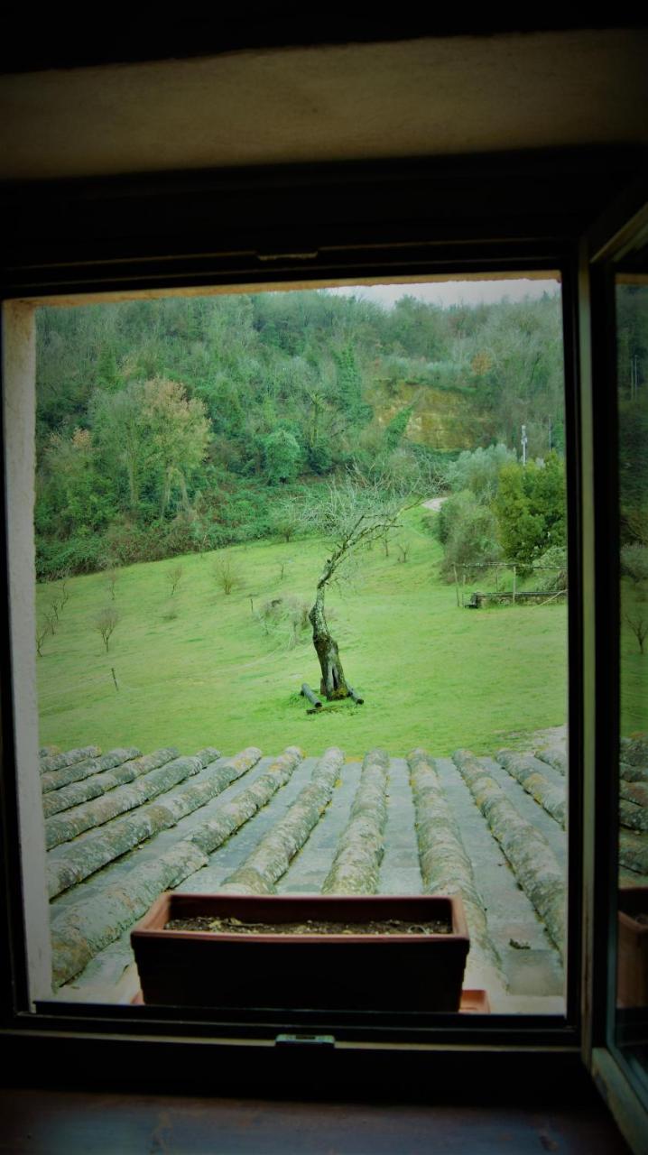 Agriturismo Monterone Ponzano Romano Ngoại thất bức ảnh